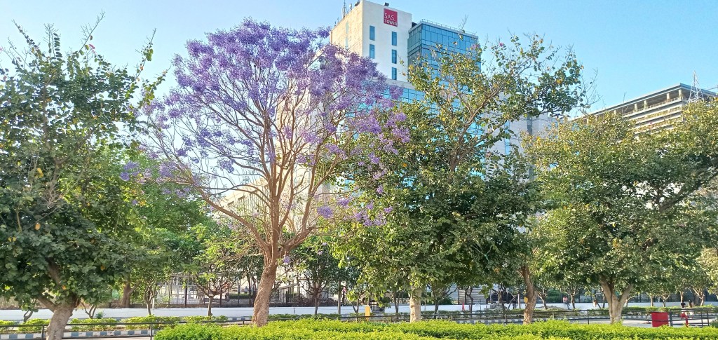 Slow down – the world isn’t going&nbsp;anywhere.